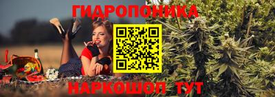 винт Канаш
