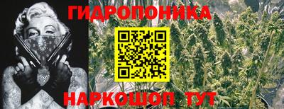 не бодяженный Кандалакша