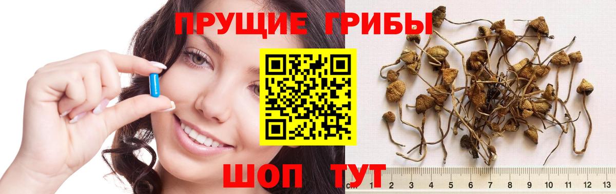 Лесной  Галлюциногенные грибы мухоморы  Галлюциногенные грибы мицелий  Вход с VPN 